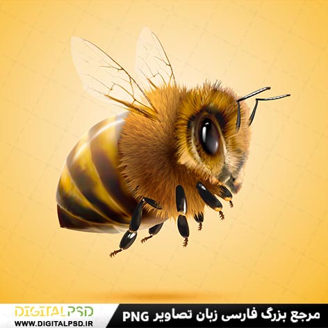 وکتور با کیفیت زنبور عسل