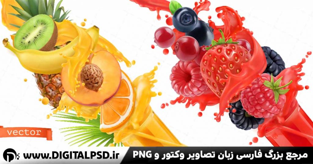دانلود وکتور میوه | وکتور هلو و توت
