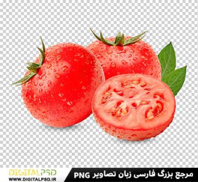 دانلود عکس با کیفیت گوجه PNG