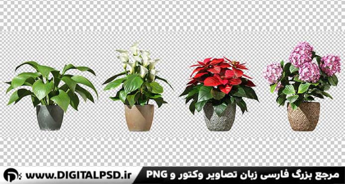 دانلود عکس با کیفیت گل و گلدان