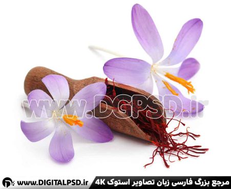 دانلود عکس با کیفیت گل زعفران