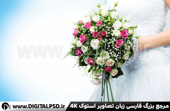دانلود عکس با کیفیت دست گل عروس