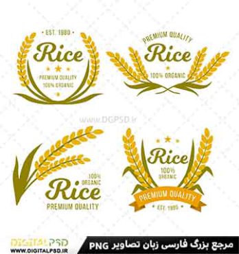 لوگو لایه باز برنج