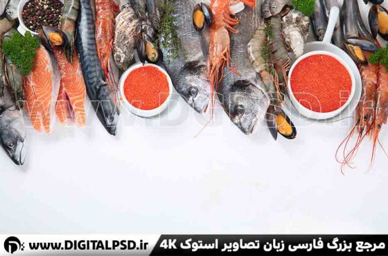 دانلود عکس با کیفیت ماهی