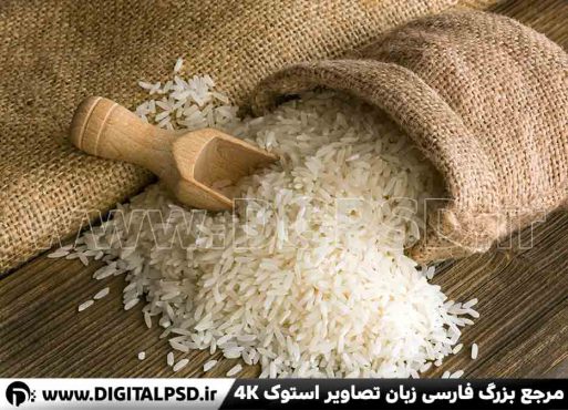 دانلود عکس با کیفیت برنج