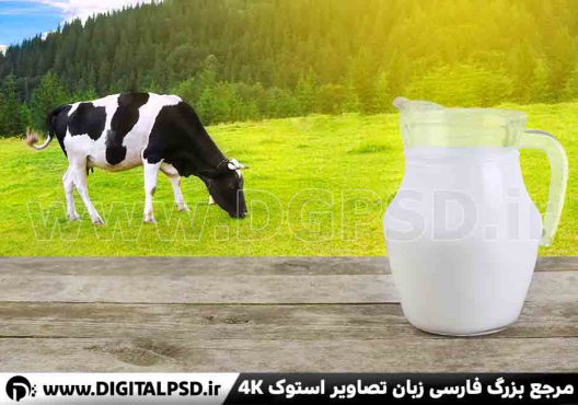 دانلود عکس با کیفیت گاو و شیر