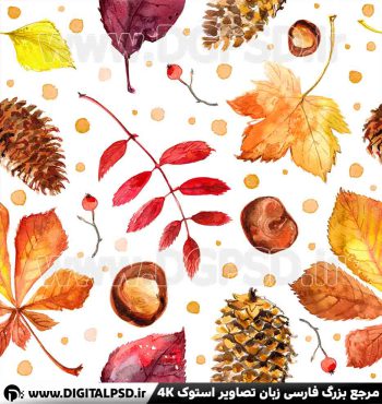 دانلود عکس با کیفیت برگ های کارتونی پاییزی