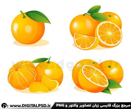 وکتور لایه باز پرتقال