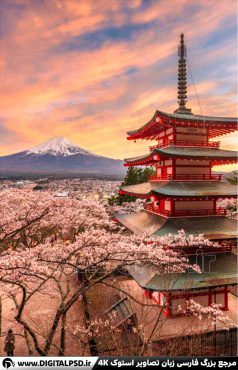 دانلود عکس با کیفیت فصل بهار کوه فوجی