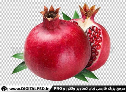 عکس با کیفیت انار