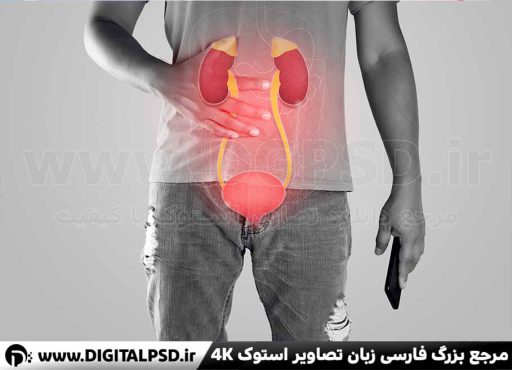 دانلود عکس با کیفیت درد مجاری ادراری