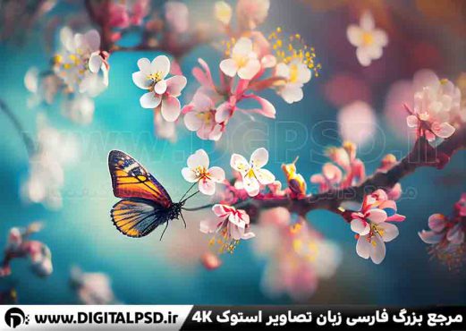 دانلود عکس با کیفیت شکوفه ها و پروانه