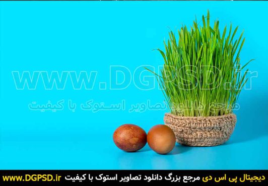 دانلود عکس سبزه با بکگراند آبی