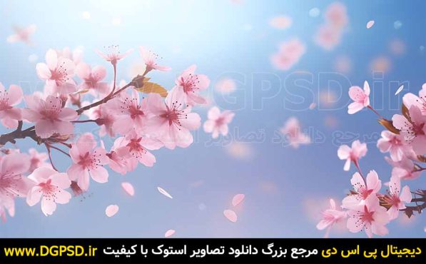 دانلود عکس شکوفه صورتی طبیعی  