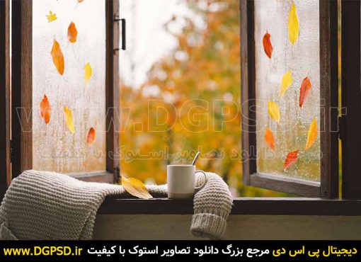 عکس پنجره با منظره پاییز و لیوان چای