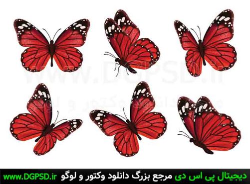 دانلود ۶ وکتور پروانه قرمز رنگ