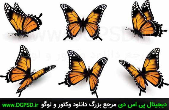 دانلود ۶ وکتور پروانه نارنجی