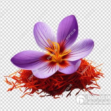 نمونه عکس زعفران بدون بک